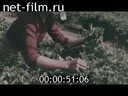 Footage frame