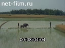 Footage frame