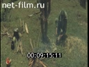 Footage frame