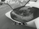 Кадр видео