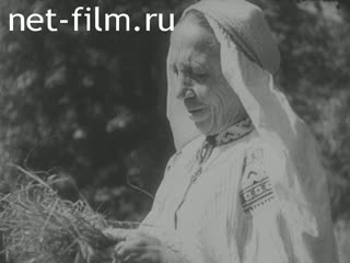 News Foreign newsreels №6412 (1980)