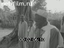 Foreign newsreels №6362