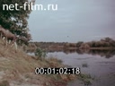 Кадр видео