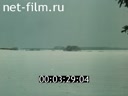 Кадр видео