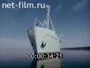 Кадр видео