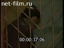 Footage frame