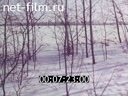 Footage frame