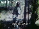 Footage frame