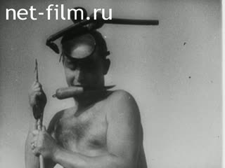 Newsreel Tonwoche №540 (1941)