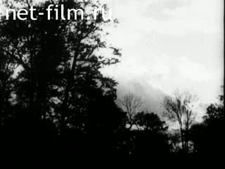 Фильм Лесные люди. Краеведческий очерк. (1928)