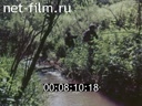 Кадр видео