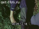 Кадр видео