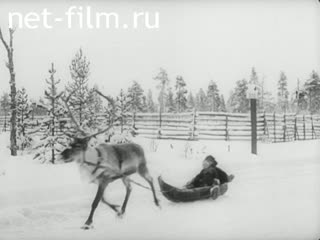 Newsreel Tonwoche №595 (1943)