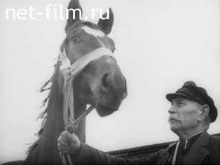 Newsreel Tonwoche №586 (1942)