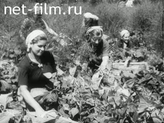 Newsreel Tonwoche №685 (1944)