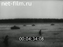 Footage frame