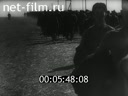 Footage frame