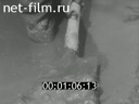 Footage frame
