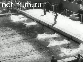 Newsreel Tonwoche №618 (1943)