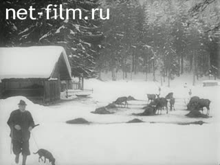 Newsreel Tonwoche №702 (1945)