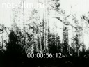 Footage frame