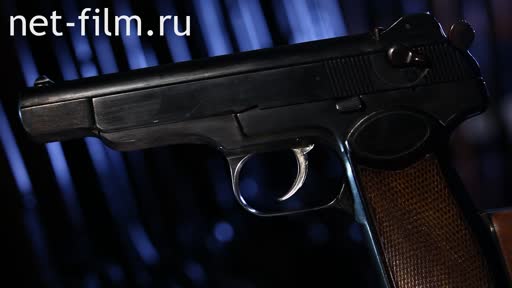 Footage Stechkin automatic pistol. (2013)