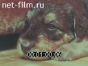 Кадр видео