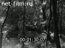 Footage frame