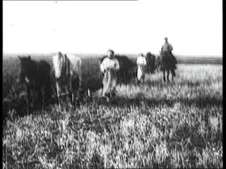 Кинохроника Развитие сельского хозяйства в СССР. (1920-1932)
