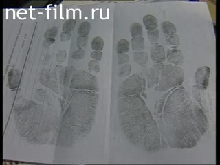 Телепередача Дорожный патруль (2001) Выпуск от 19/11/01.