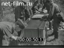 Soviet Air Force during World War II