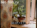 Дорожный патруль Выпуск от 25/09/98