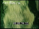 Footage frame