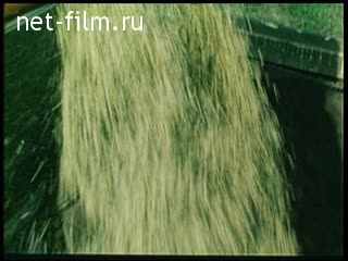 Newsreel Moscow №51-1981 Help Muscovites village. (1981)