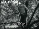 Footage frame