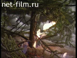 Телепередача Дорожный патруль (1998) Выпуск от 30/12/98.