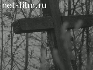 Новости Зарубежные киносюжеты №2129 (1969)