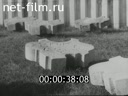 Footage frame