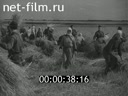Footage frame