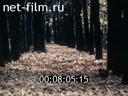 Footage frame