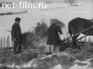 Newsreel Interrepublican newsreel №15 (1941)
