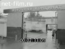 Кадр видео