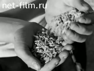 Newsreel On the wide Volga №8 (1975)