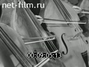 Кадр видео