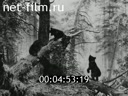 Кадр видео