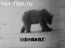 Footage frame