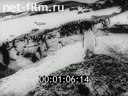 Footage frame