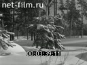 Footage frame