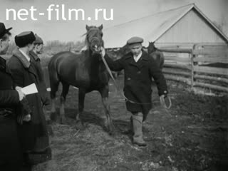 Newsreel Ordenonaya Chuvashia №5 (1940)