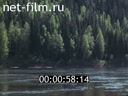 Кадр видео